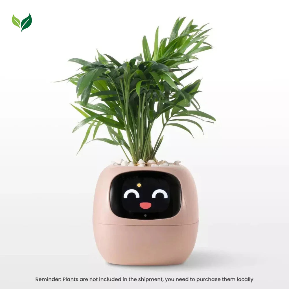 The Plantiboy