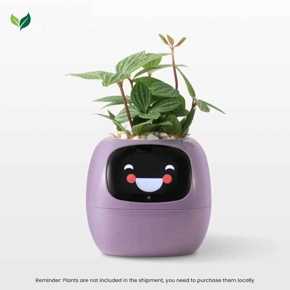 The Plantiboy