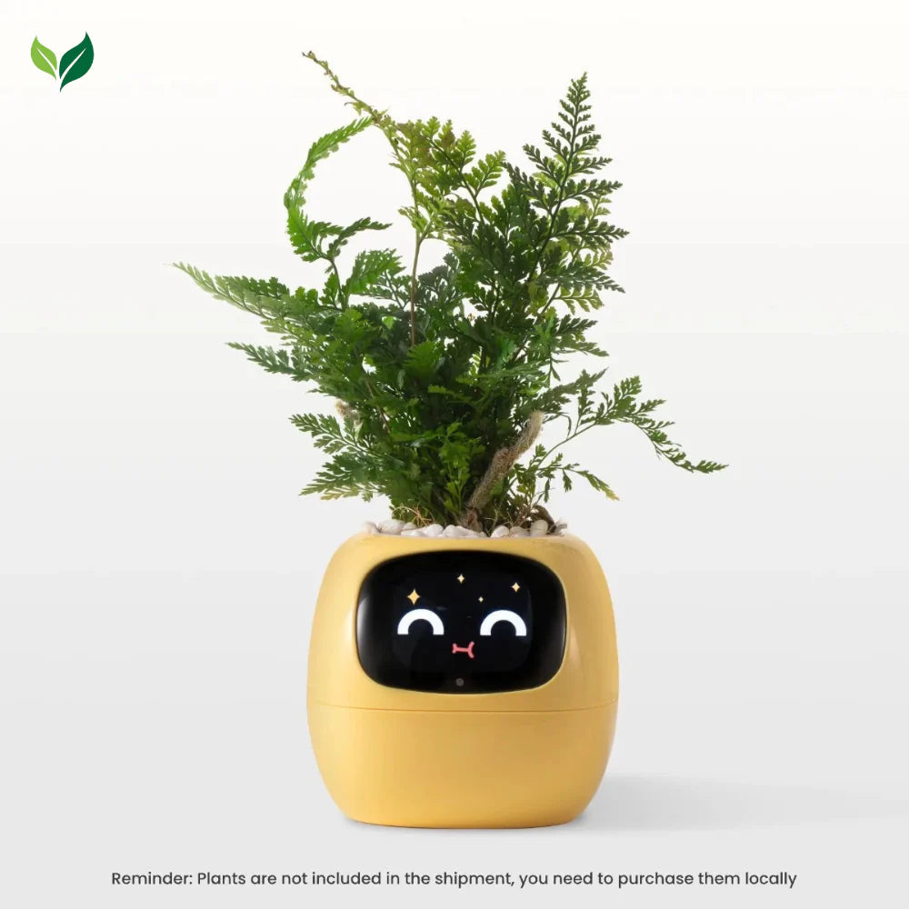The Plantiboy
